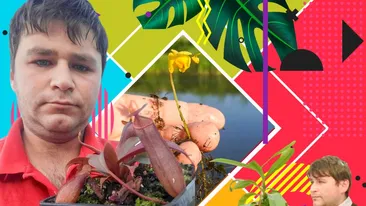 Adrian Danciu a descoperit o plantă carnivoră pe un canal din Satu Mare!