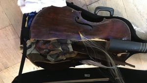 Cum arată vioara unui artist, după ce a fost transportată cu avionul. Proprietarul acuză compania aeriană. “Urăşte muzicienii!”