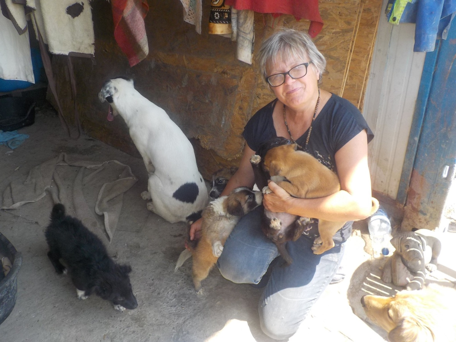 Maria este ajutată de mai mulți oameni cu suflet mare să aibă grijă de sutele de câini