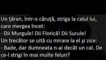 BANCUL ZILEI | „Diii, Murgule! Dii, Florică! Dii, Surule!”