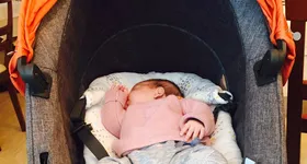 Galerie foto - poza 1