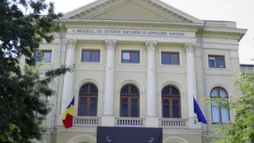 Record absolut: 18.000 de oameni au vizitat Muzeul Antipa cu ocazia Noptii Muzeelor! Ce alte locuri au preferat bucurestenii