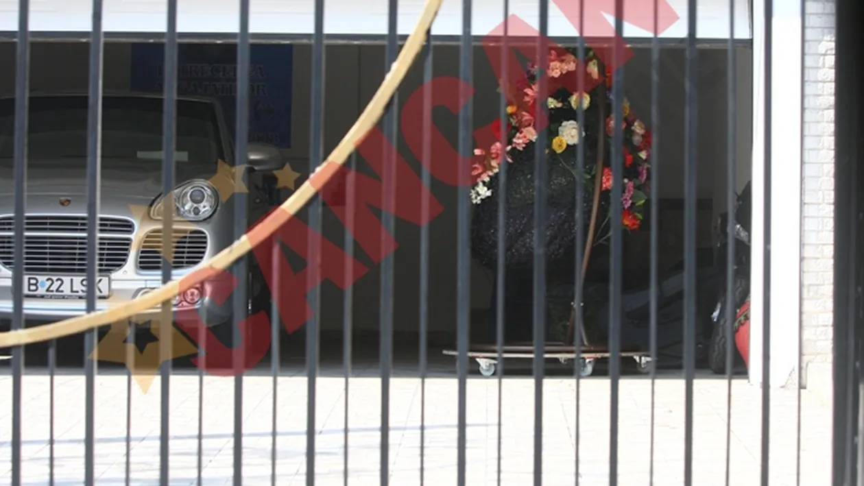 Minune!  In garajul Annei Lesko a crescut un copac!