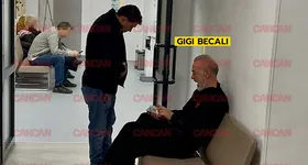 Galerie foto - poza 2