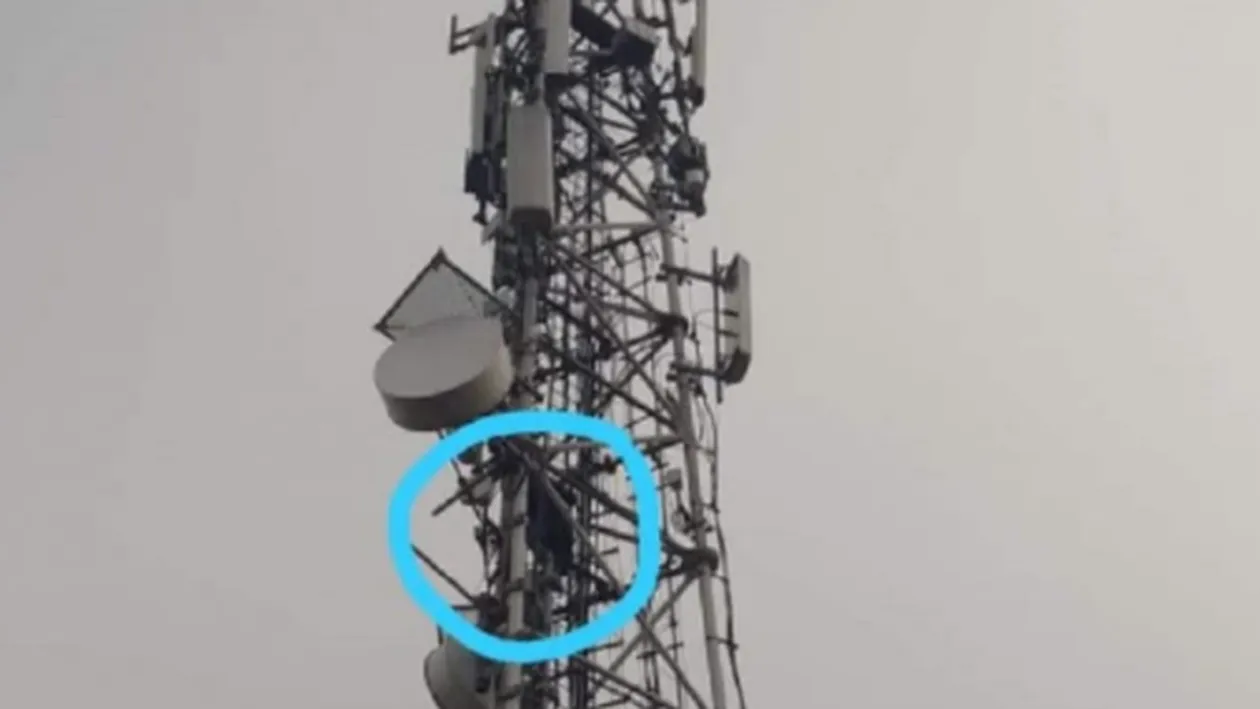 În semn de protest, un fost pușcăriaș s-a urcat pe un stâlp pentru că toată lumea refuză să îi ofere de muncă