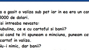 BANC | Bulă a găsit o valiză sub pat și în ea erau 5.000 de dolari și un cartof