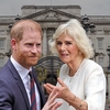 Harry se întoarce, Camilla strânge din dinți! Ce se întâmplă în Familia Regală după revenirea Ducilor de Sussex