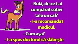BANC | "Bulă, de ce i-ai cumpărat soției tale un cal?"
