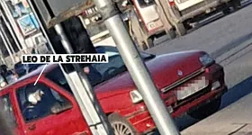 Galerie foto - poza 3