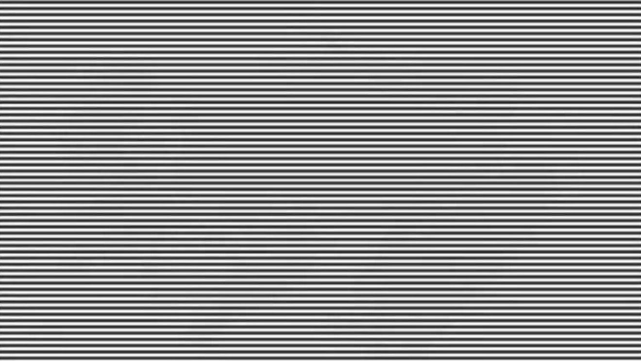 Iluzie optică virală | Ești un geniu dacă poți spune ce animal apare în această fotografie