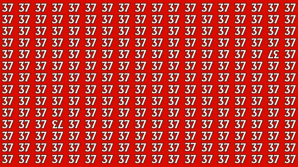Test de inteligență | Găsiți numerele '37' și '73' care sunt inversate, în doar 15 secunde!
