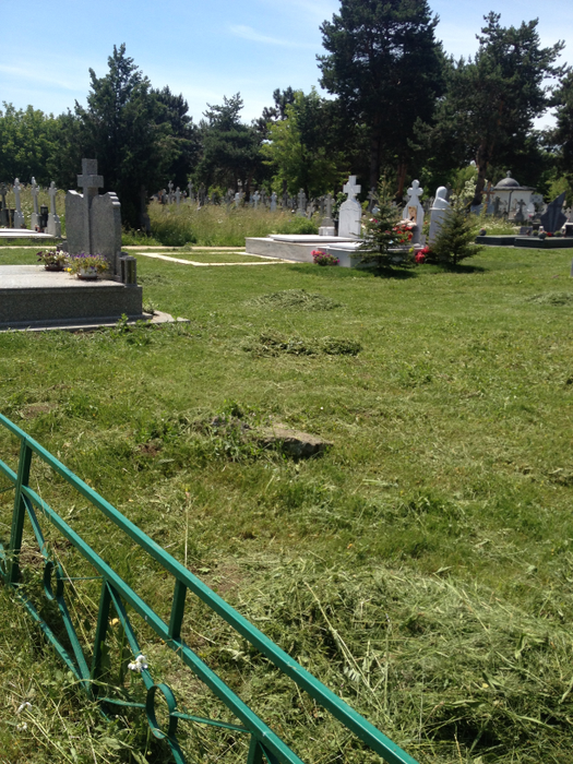 La mormântul Ilenei Ciuculete au fost plantaţi brăduţi, la două luni de la înmormântare