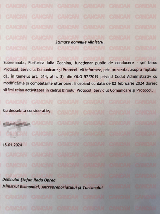 Iulia Geanina Furfurică a ocupat funcții importante de-a lungul timpului