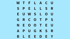 TEST IQ | În cel mult 6 secunde, identificați cuvântul "test"!