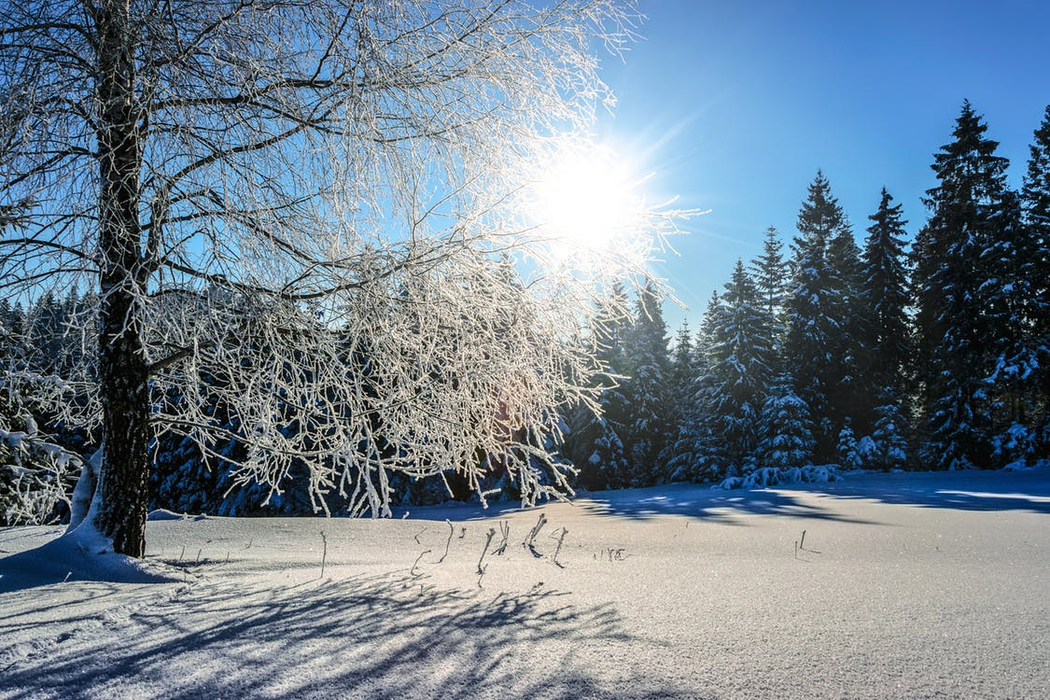 Prognoza meteo pentru perioada 26 noiembrie – 9 decembrie. Iarna pune stăpânire pe România
