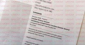 Galerie foto - poza 3