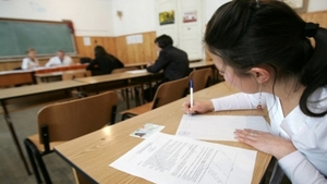 Rezolvarea subiectelor la limba română, de la Evaluarea Națională 2018