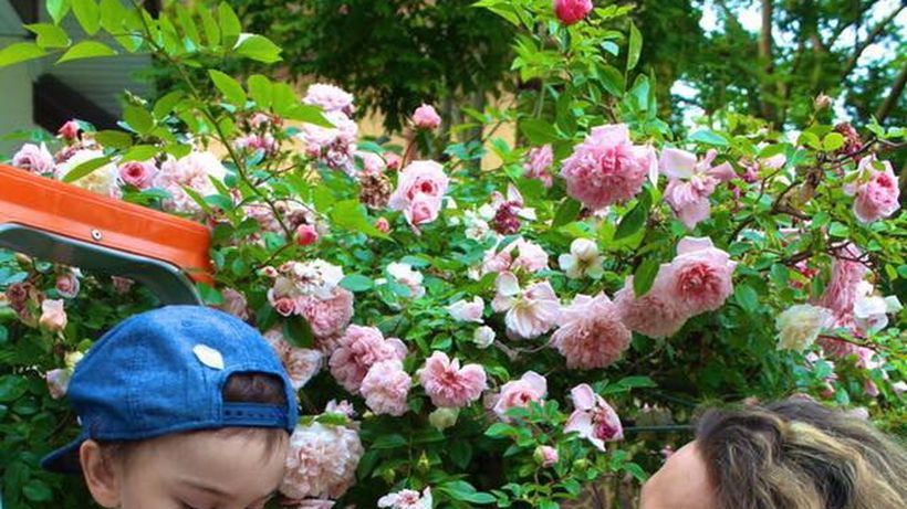 Anna Lesko are probleme cu fiul ei, care s-a îmbolnăvit. ”Adam a făcut…”