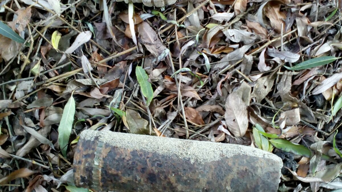 Un ”căutător de comori” din Vrancea a găsit două grenade defensive și 80 de cartușe
