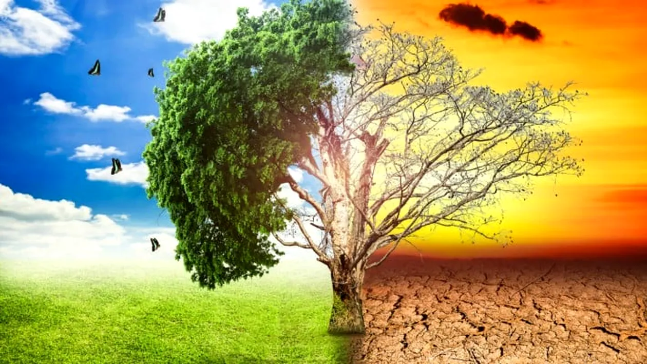 Directorul ANM: clima României se schimbă radical! Cum va fi până în 2090