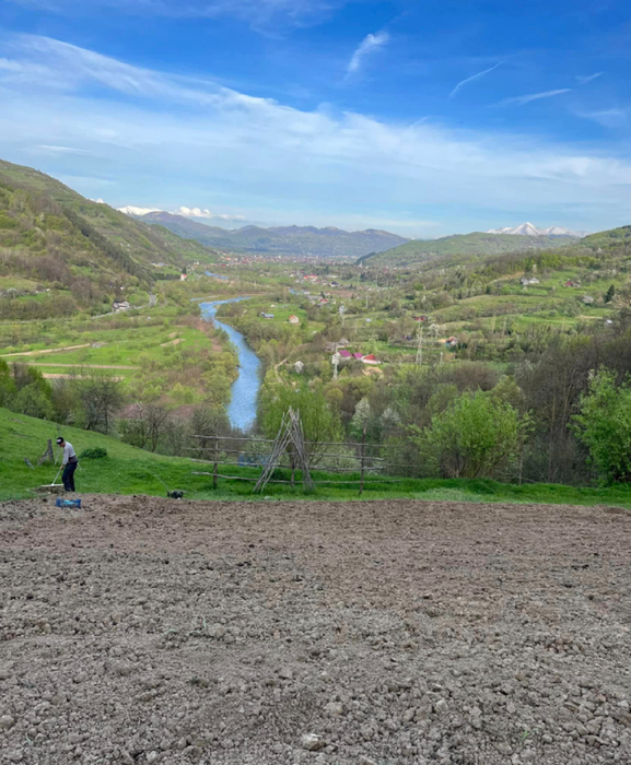 Și-au găsit fericirea după ce au părăsit Bucureștiul și s-au mutat în vârful unui deal din Maramureș. Povestea unei familii cu 4 copii care s-a regăsit într-un loc parcă atins de Dumnezeu