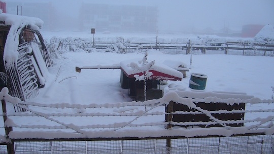 Ger ca in Siberia! In dimineata aceasta la ora 8:00 s-a inregistrat cea mai mica temperatura din acest sezon