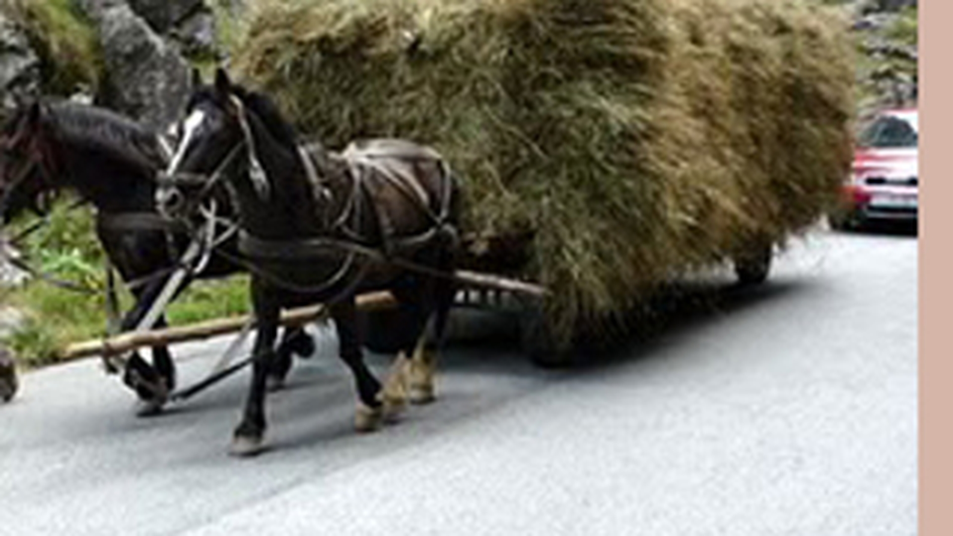 Un barbat din Caras-Severin a murit strivit de rotile carutei in care se afla