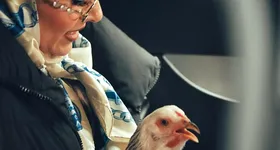 Galerie foto - poza 3