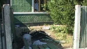 Patru tineri au vandalizat o casa si doua masini, suparati ca un amic de pahar nu a mai vrut sa bea cu ei!