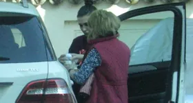 Galerie foto - poza 3