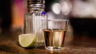 Nu doar tequila! Ce alte utilizări mai au agavele?