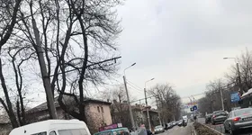 Galerie foto - poza 4