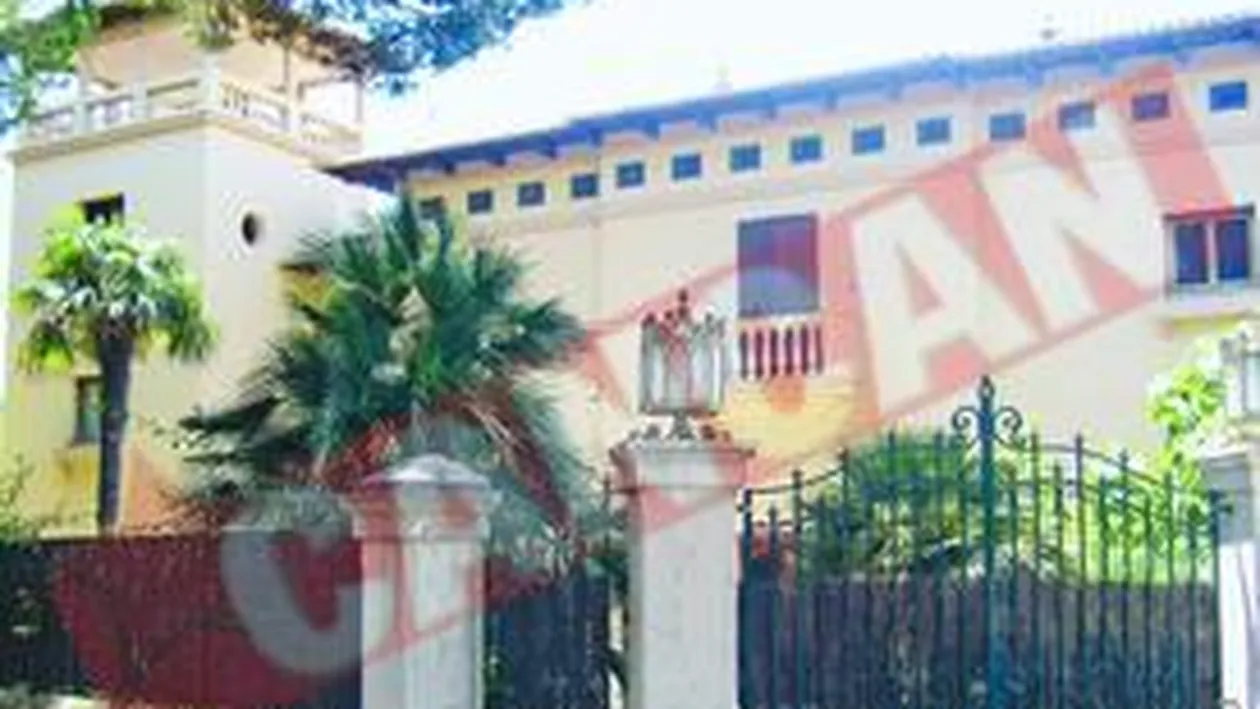 Uite cum isi usuca un campion adidasii!