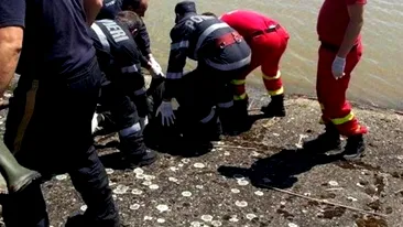 Tânăr de 28 de ani, găsit mort în lacul de acumulare Bascov, de pe râul Argeș
