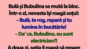BANC | Bulă și Bubulina se mută la bloc