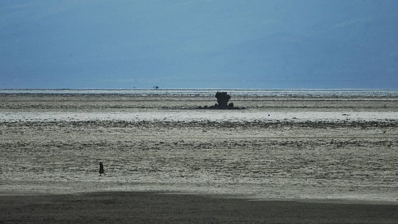 Lacul care transformă păsările în stană de piatră. De ce apa ia viața unor animale