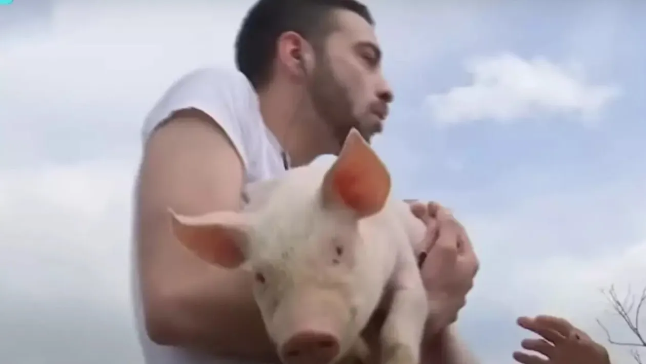 David Pușcaș, test de angajare la fermă! Fiul adoptiv al Luminiței Anghel a izbucnit: „Nu pot, mi-e rău”