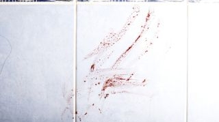 Crima odioasa in Republica Moldova: un bebelus de noua luni a fost omorat cu cruzime si abandonat in cada