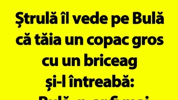 Bancul de duminică | Ștrulă îl vede pe Bulă că tăia un copac gros cu un briceag