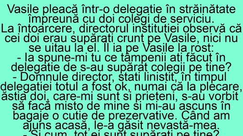 BANC | "Vasile, ce tâmpenii ați făcut în delegație, de s-au supărat colegii pe tine?"