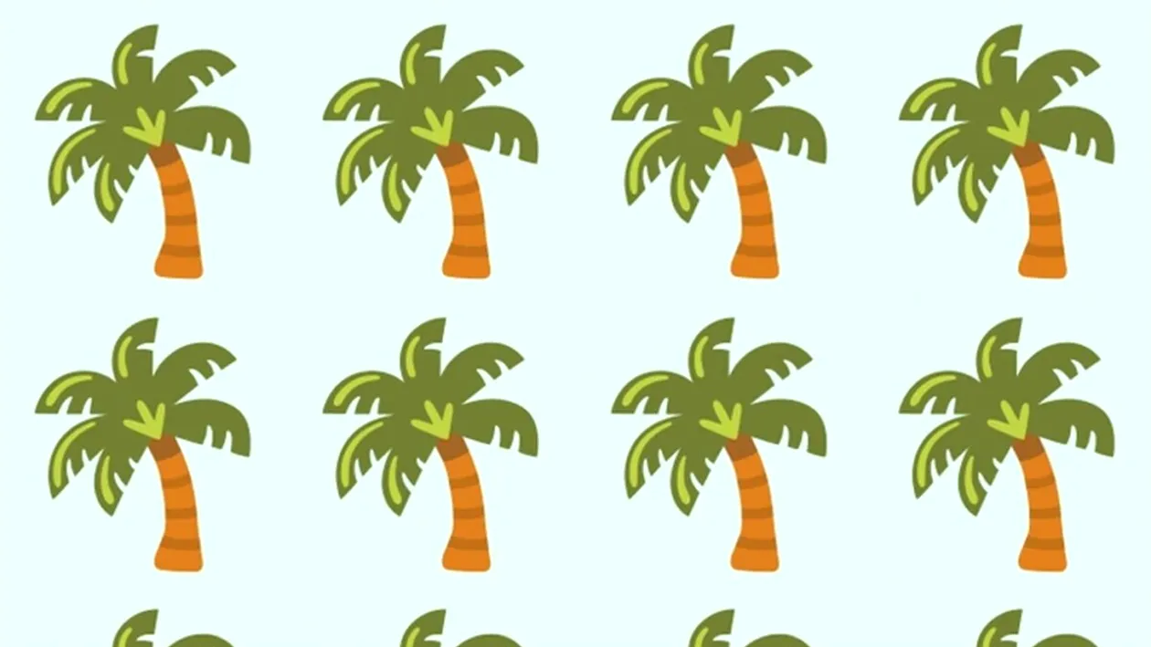 Test de logică | În această imagine apar 20 de palmieri, însă unul singur este diferit de ceilalți. Care?