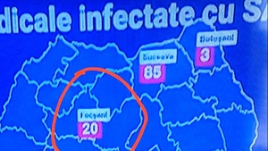 Este gafa anului! Detaliul jenant observat de un telespectator la Pro TV. Unde au pus orașul Focșani pe harta României