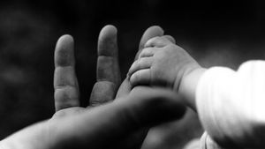 Vedete care au fost adoptate. Nici prin cap nu îţi trece cine este pe listă