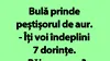 BANC | Peștișorul de aur al lui Bulă