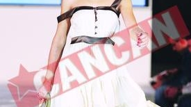 Anamaria Ferentz, noapte de groaza la volan