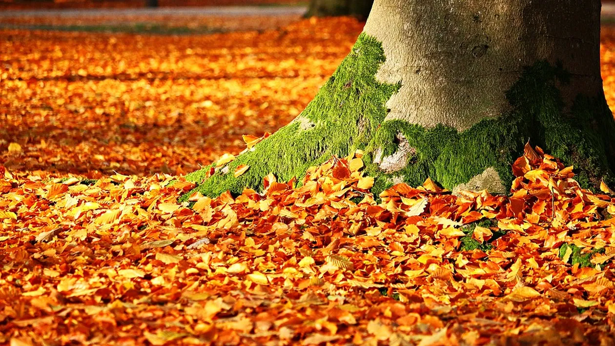 Prognoza meteo 6 octombrie 2018: Meteorologii au anunțat că valorile termice sunt peste cele obişnuite