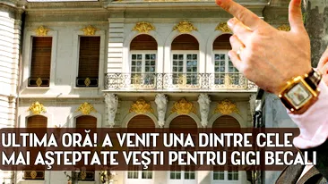 ULTIMA ORA | A venit una dintre cele mai asteptate vesti pentru Gigi Becali