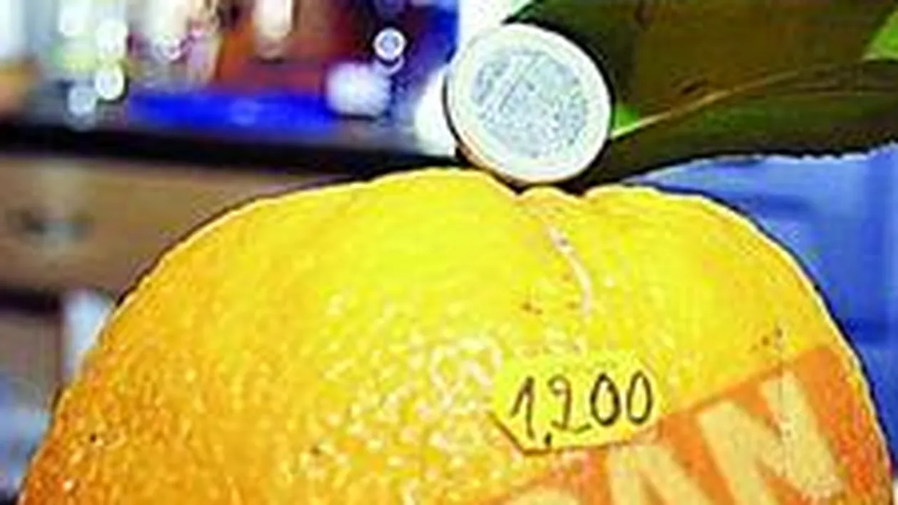 Portocala de 1,2 kilograme