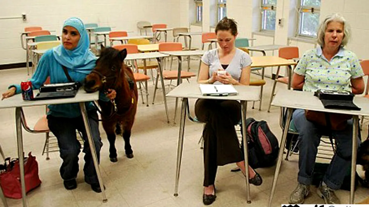 O studenta oarba si-a luat un ponei in loc de caine