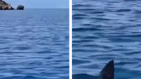 Panică în Turcia, după ce rechinii au venit aproape de țărm! Turiștii au fost evacuați. VIDEO